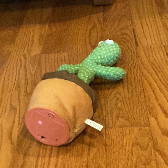 Cactus for kids. - Picture 2 of 14